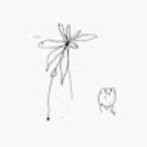 Meet your Posher, Adult